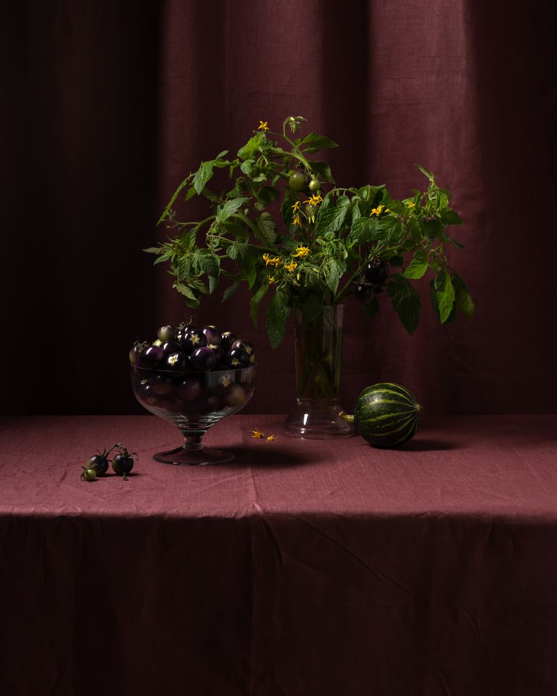 Photograph by Алина Еникеева