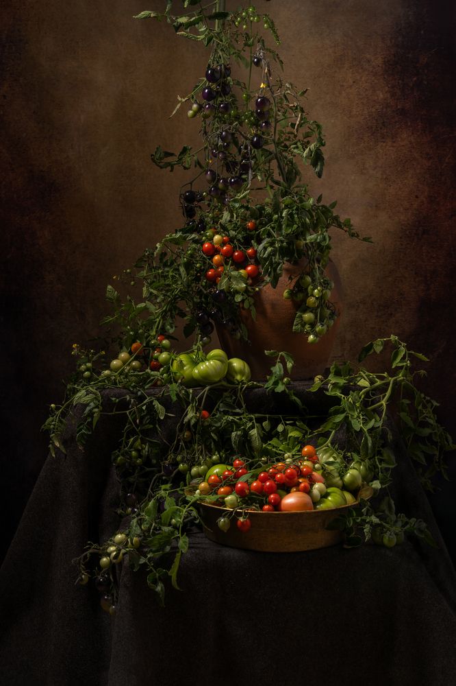 Photograph by Алина Еникеева