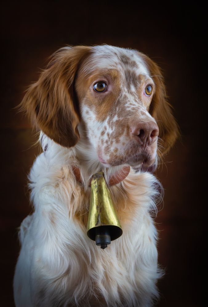 Photograph by Александр Чибиркин