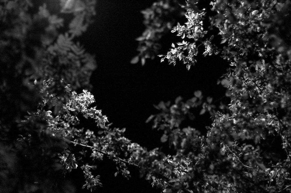 Photograph by Александр Карпухин