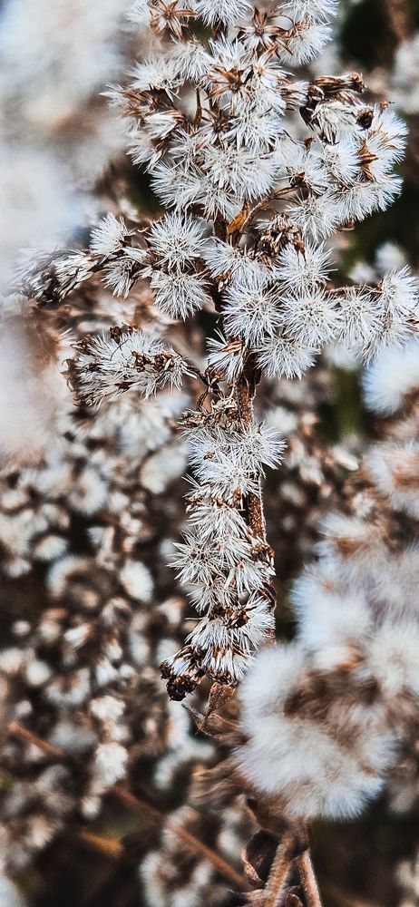 Photograph by Надежда Мякинина