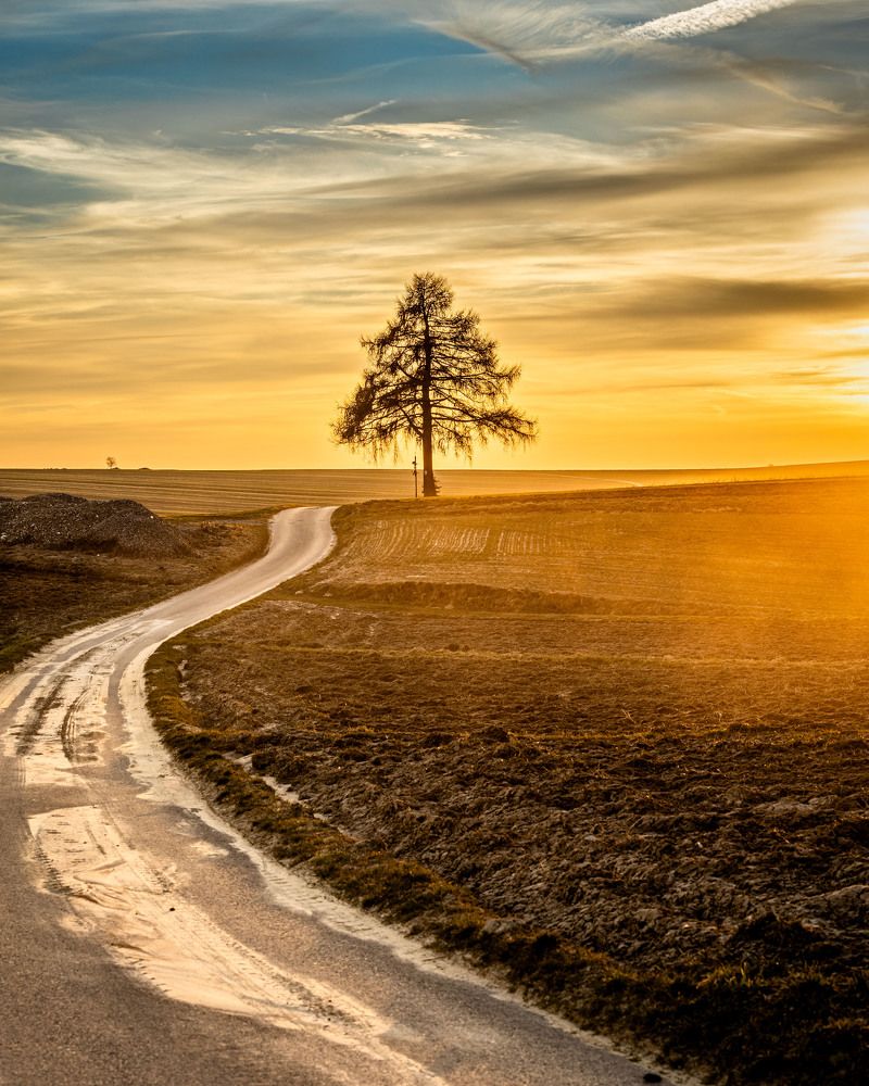 Photograph by Artur Duda