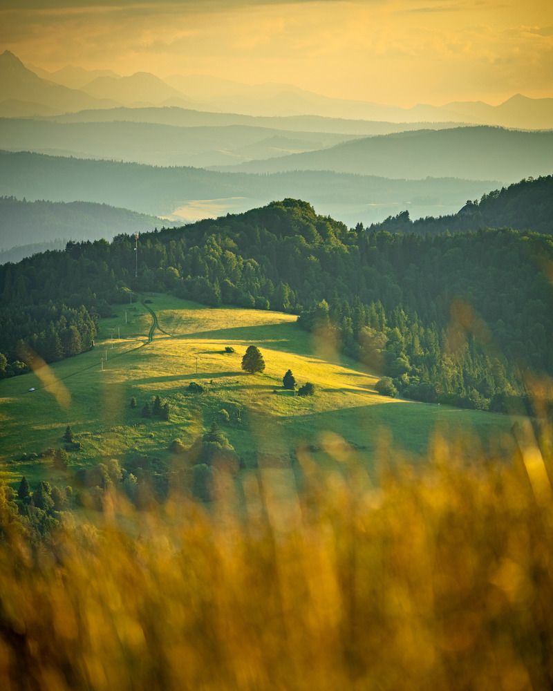 Photograph by Artur Duda