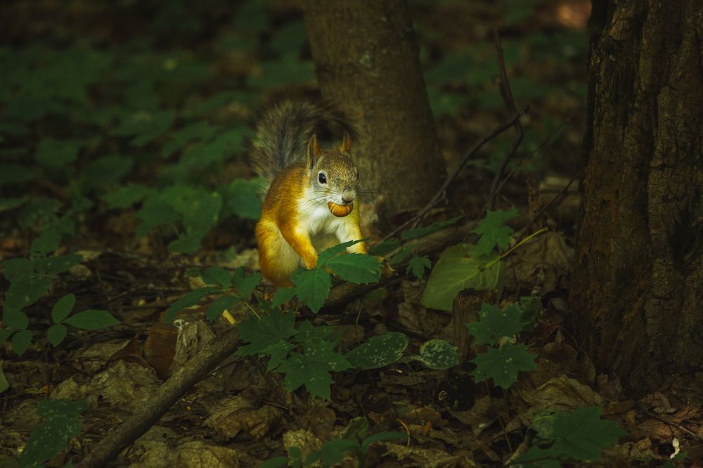 Photograph by Мария Грин (Сычёва)