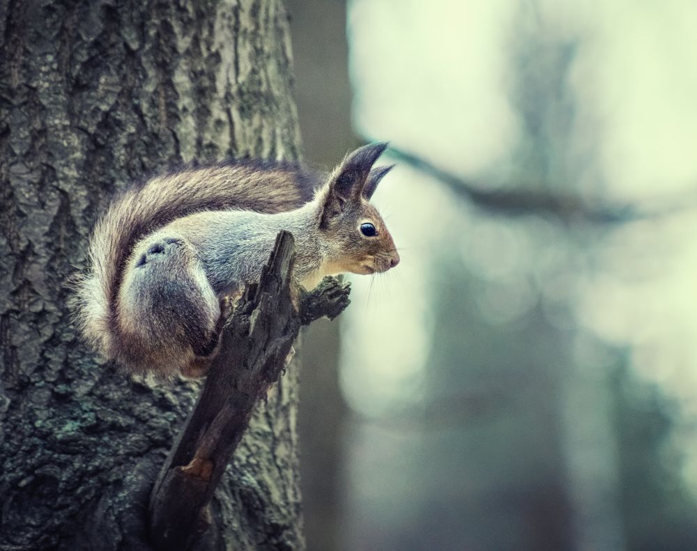 Photograph by Светлана Инькова