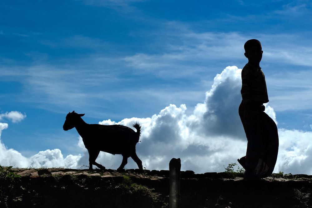 This time it's time to go back home