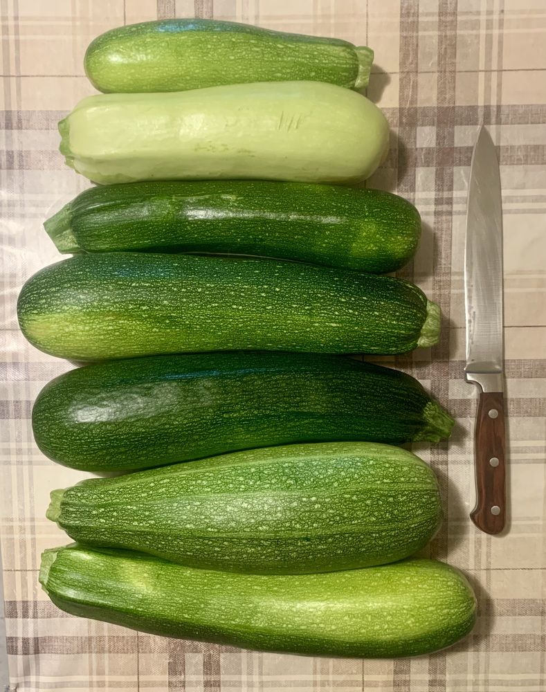 время кабачков