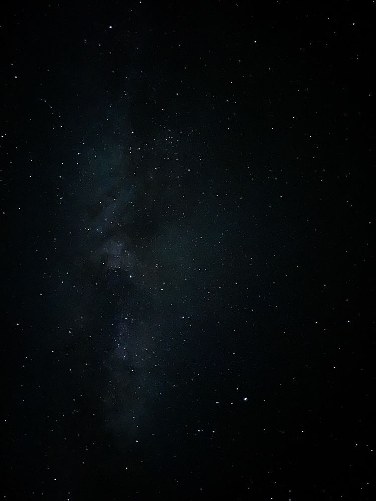 Photograph by Елена Чекменева