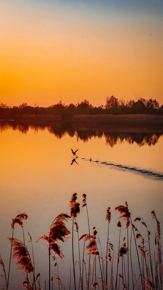 Photograph by Татьяна Дашкевич