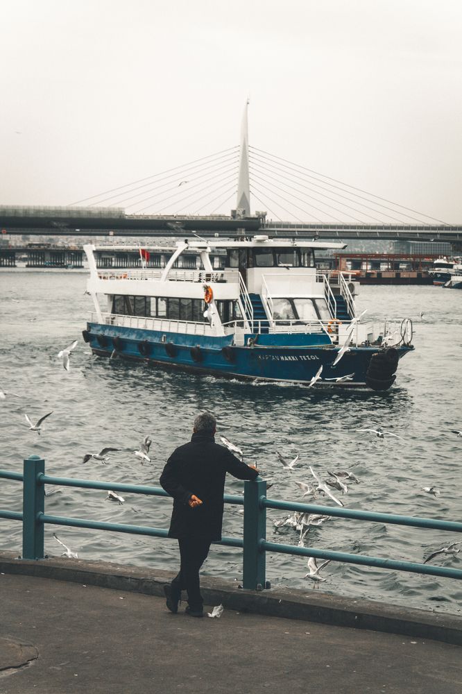 Photograph by Николай Ефимов