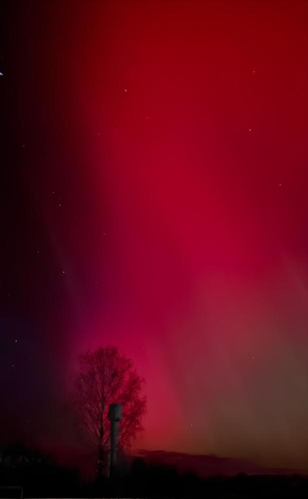 Photograph by Елена Симонова