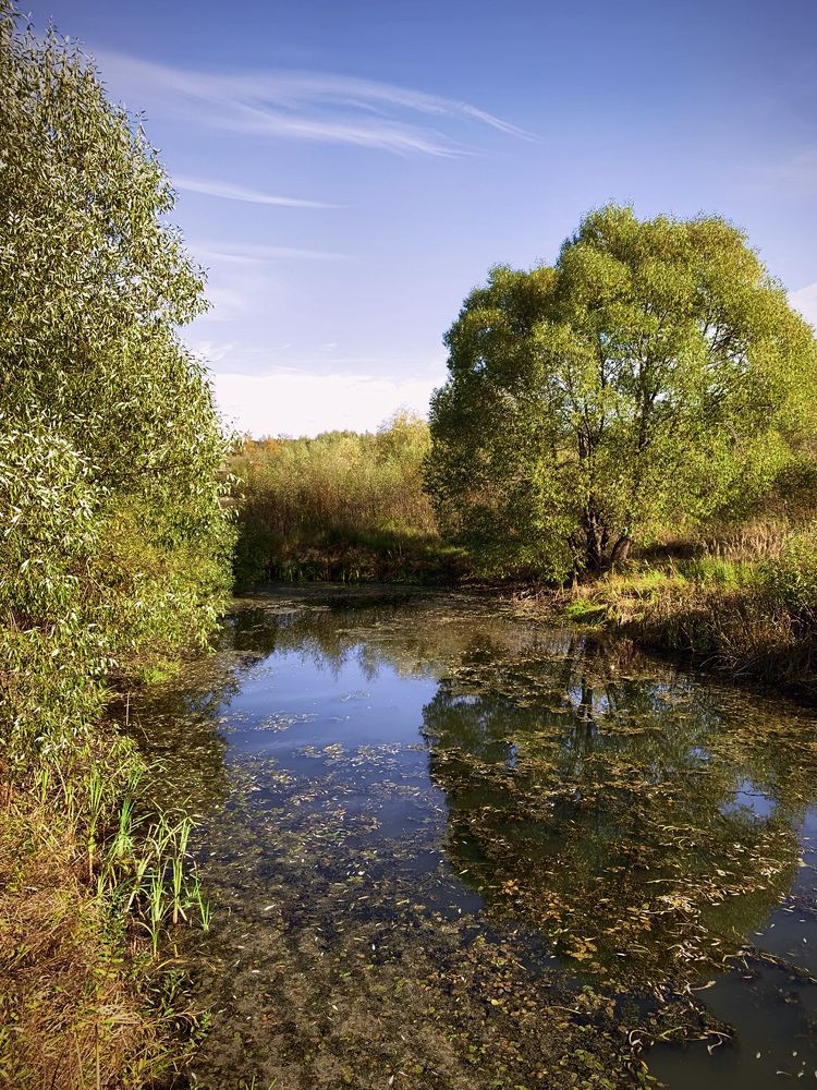 Photograph by Галина Иванова