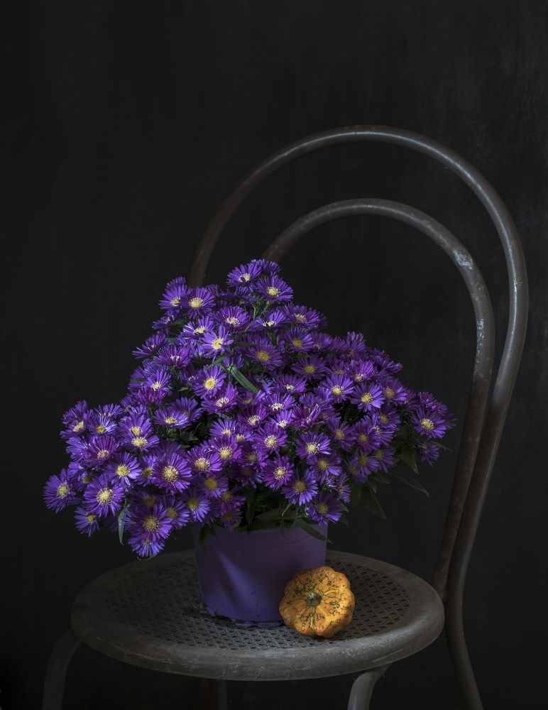 Фотография автора Uljana Kuchar