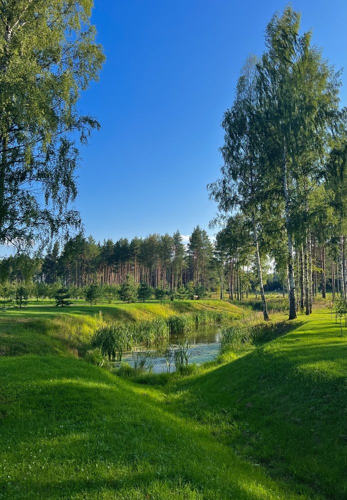 Летняя фото зарисовка