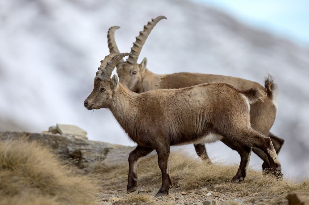 Photograph by Marco Rondi