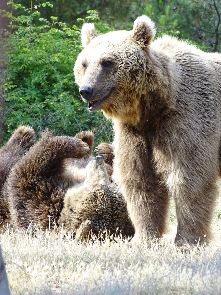 Photograph by Марина Мишина