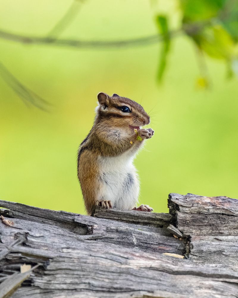 Photograph by Екатерина Дубровская