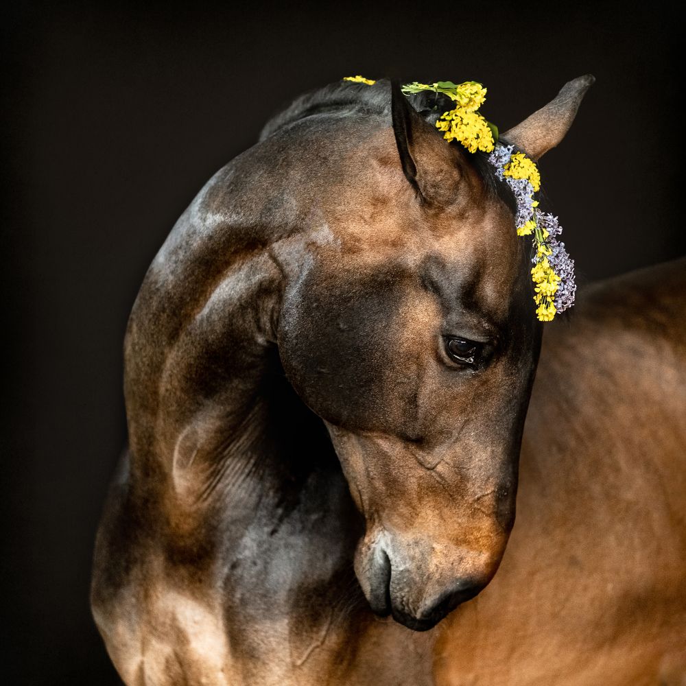 Фотография автора Irina