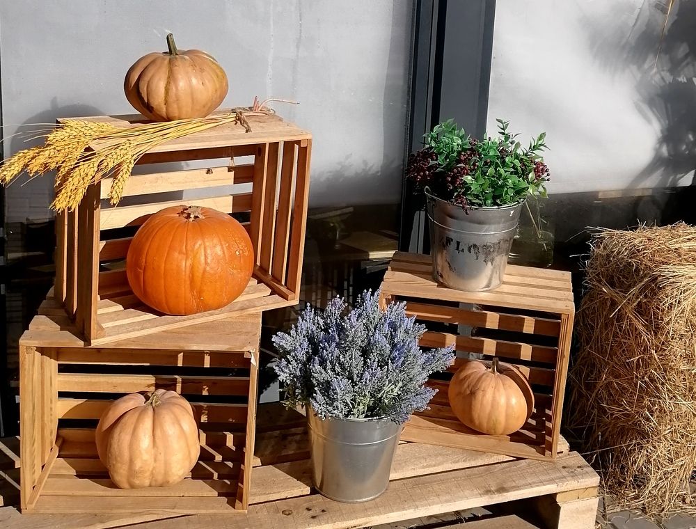 Photograph by Тамара Багровская