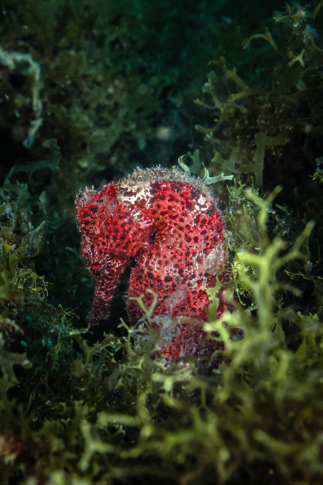 Photograph by JUAN M GUZMÁN