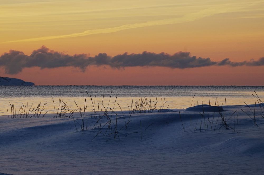 Photograph by Лена Максимкина