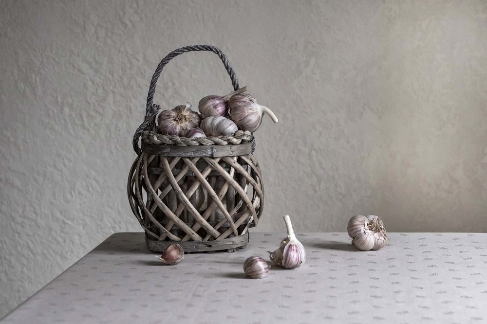 Фотография автора Hruscova Aleksandra