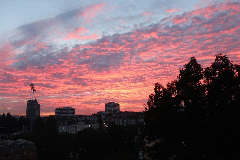 Photograph by Marianna