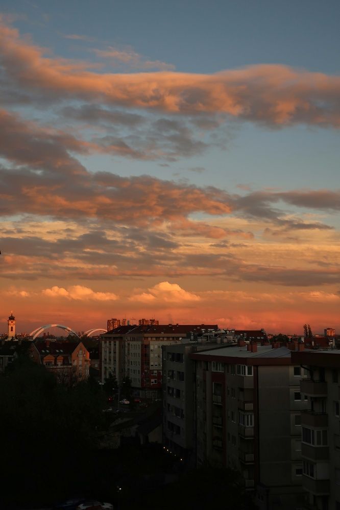 Photograph by Marianna