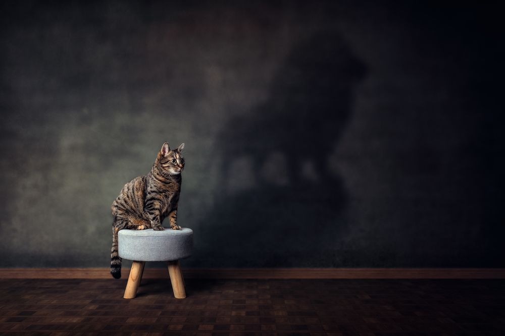 Фотография автора Kasia Kapała