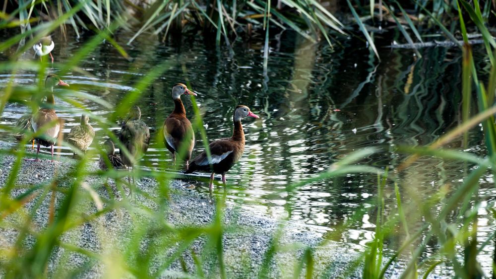Photograph by Armando López-Guerrero