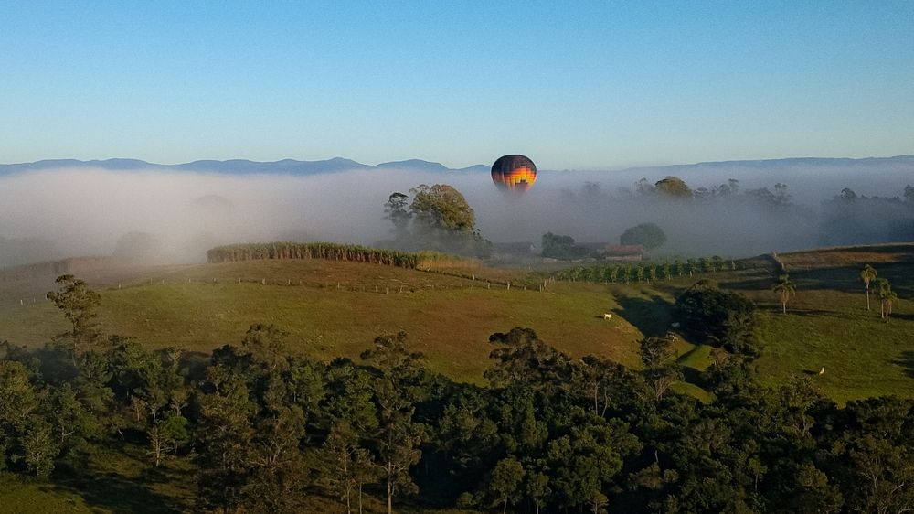 Reborn from the mist