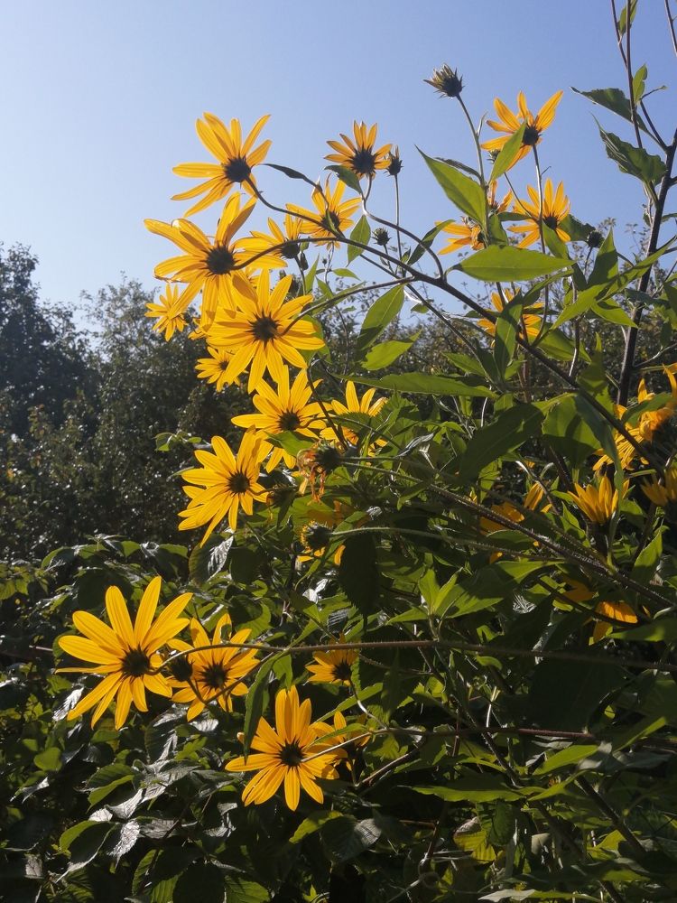 Photograph by Светлана Смердова