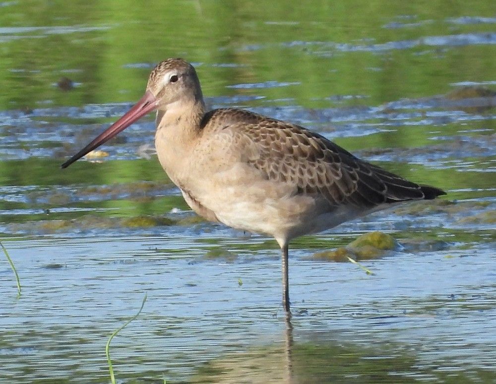 Photograph by Владимир Джерихов