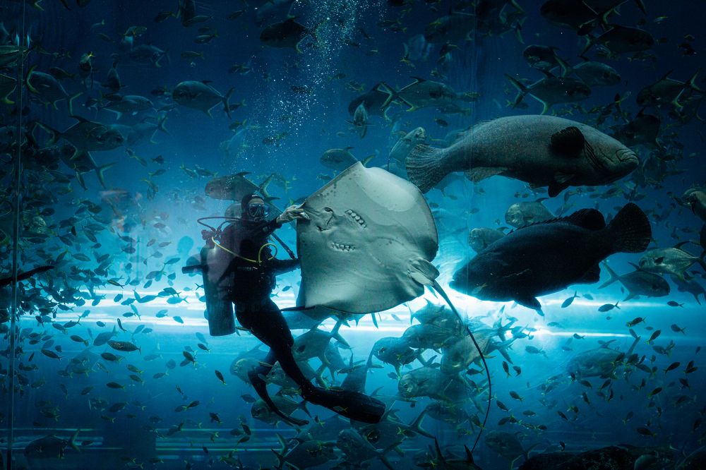 Photograph by Elena Mogilevich