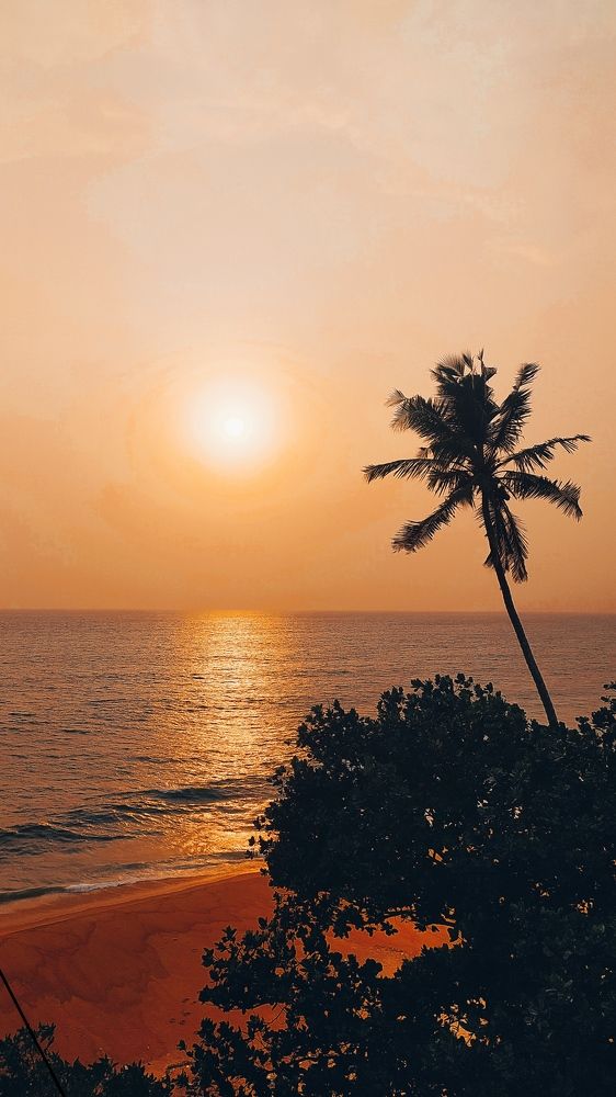 Photograph by Adithya Menon