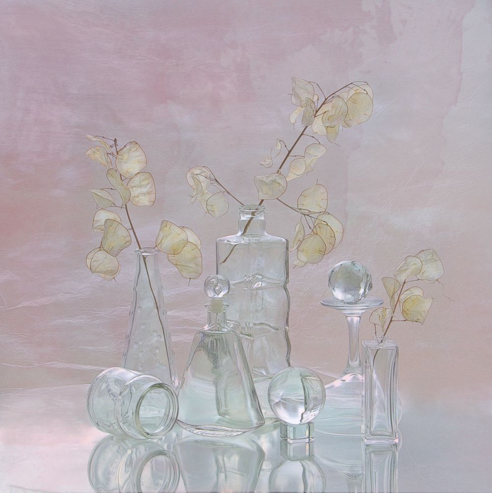 Лунария и стекло