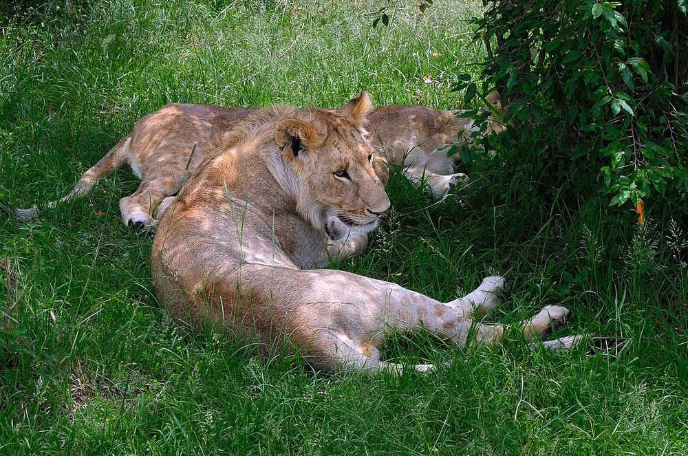 Photograph by Сергей Сережников