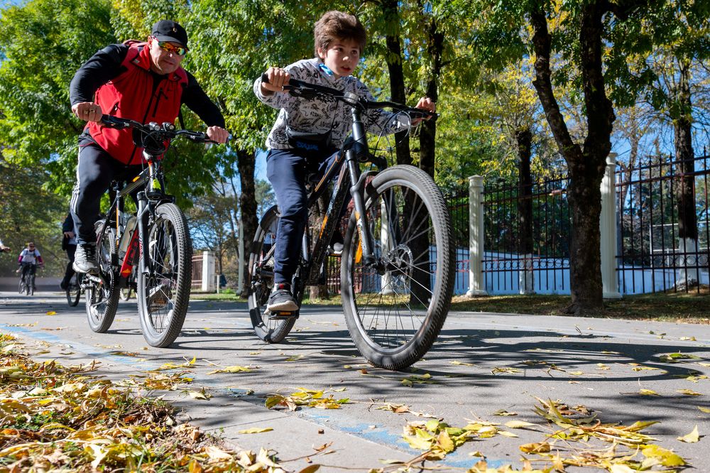 Фотография автора Дмитрий Referee