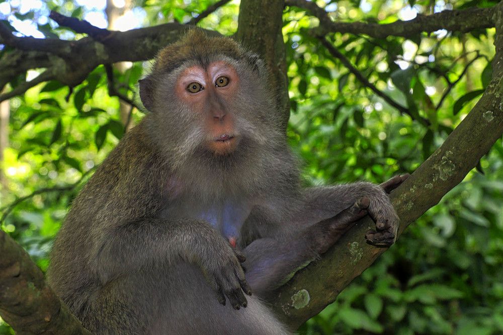 Photograph by Михаил Баевский