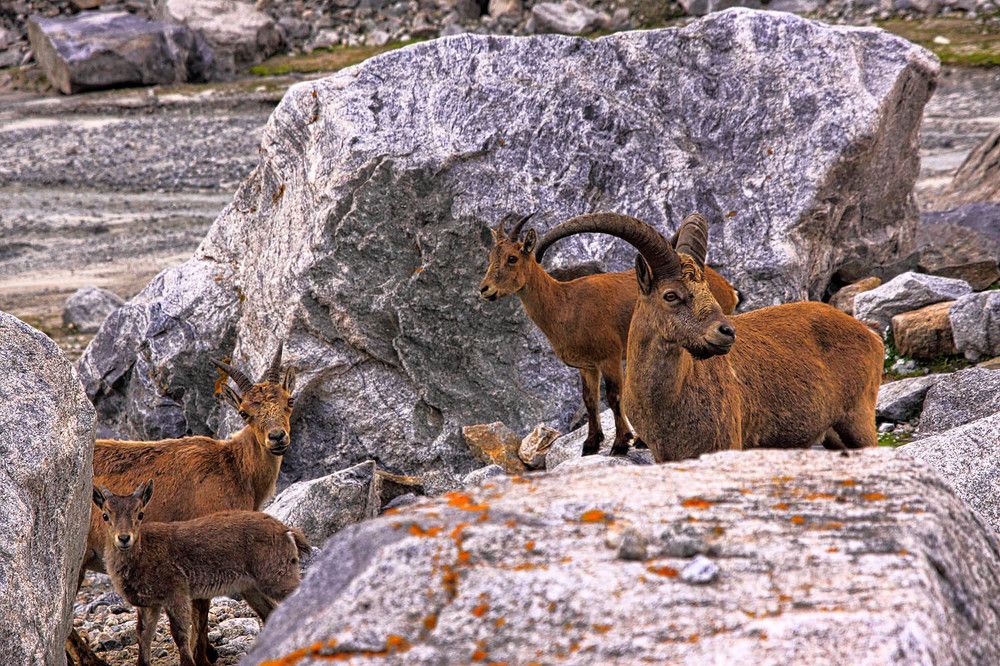 Photograph by Михаил Баевский