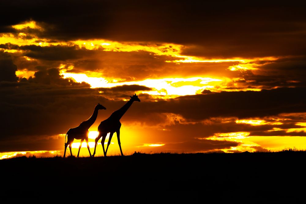 Photograph by SaiKiran Bhagavatula