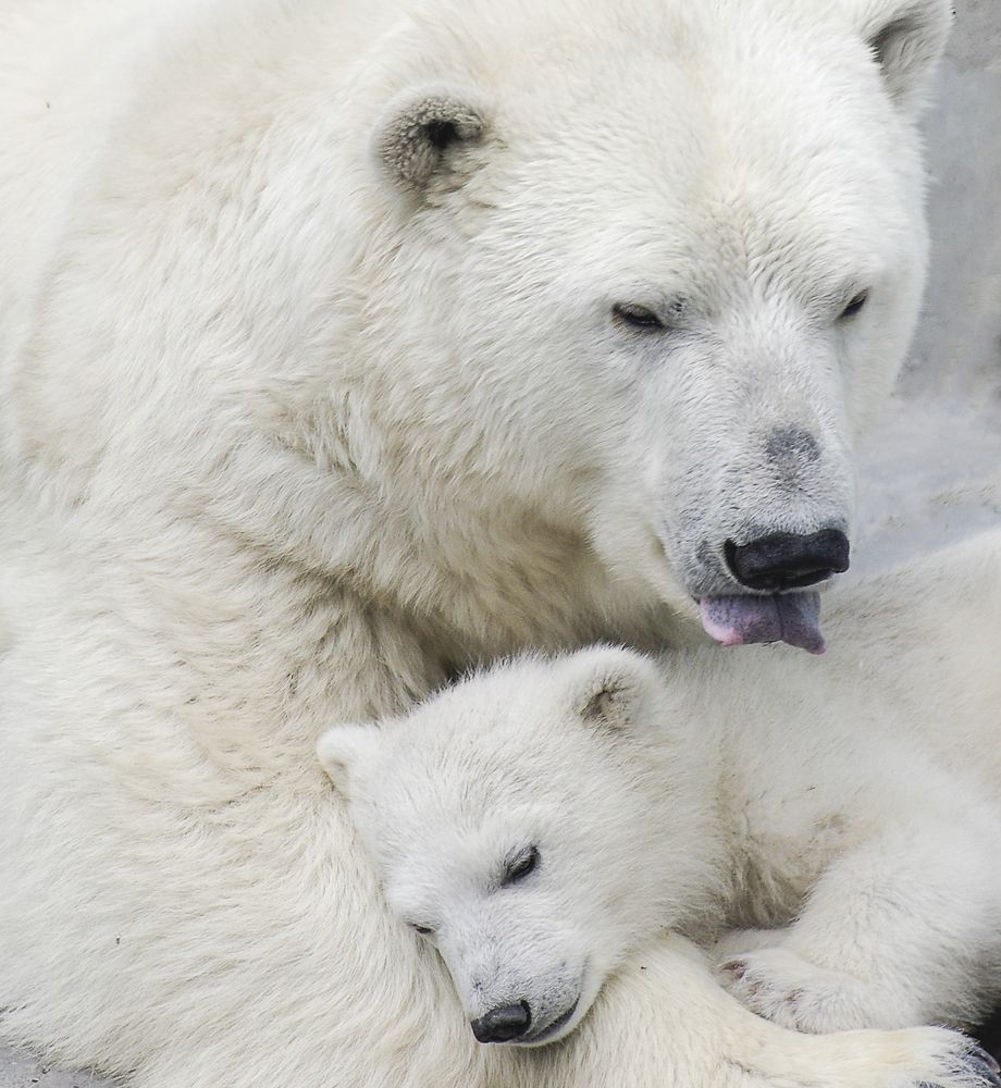 Photograph by Михаил Измайлов