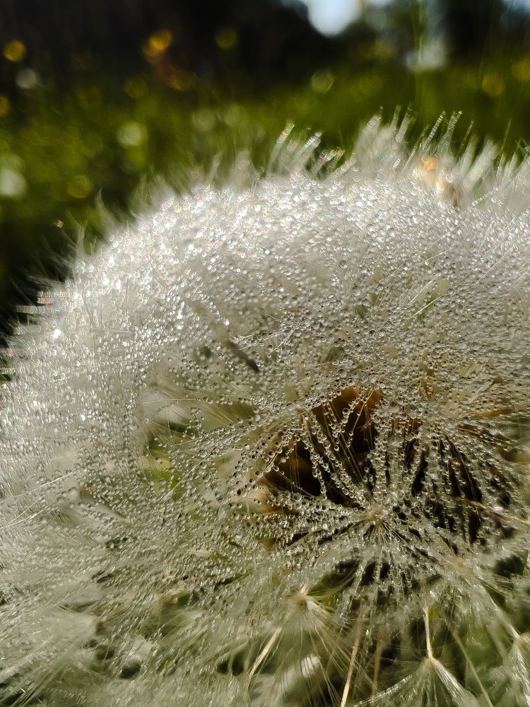 Photograph by Eugenia Schmidt