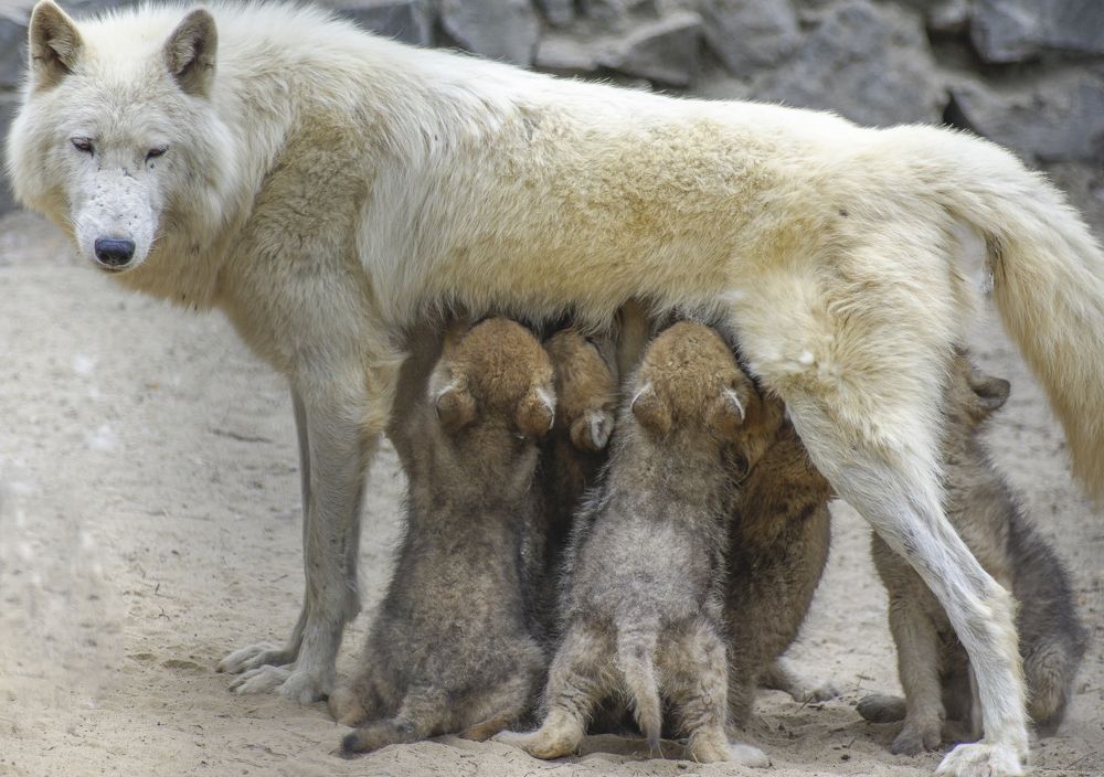 Photograph by Михаил Измайлов