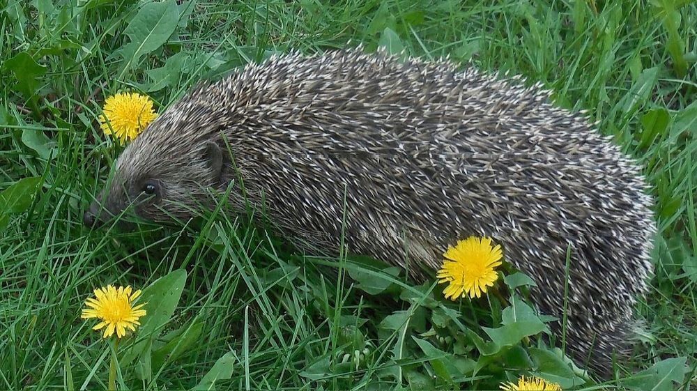 Фотография автора Павел Попов