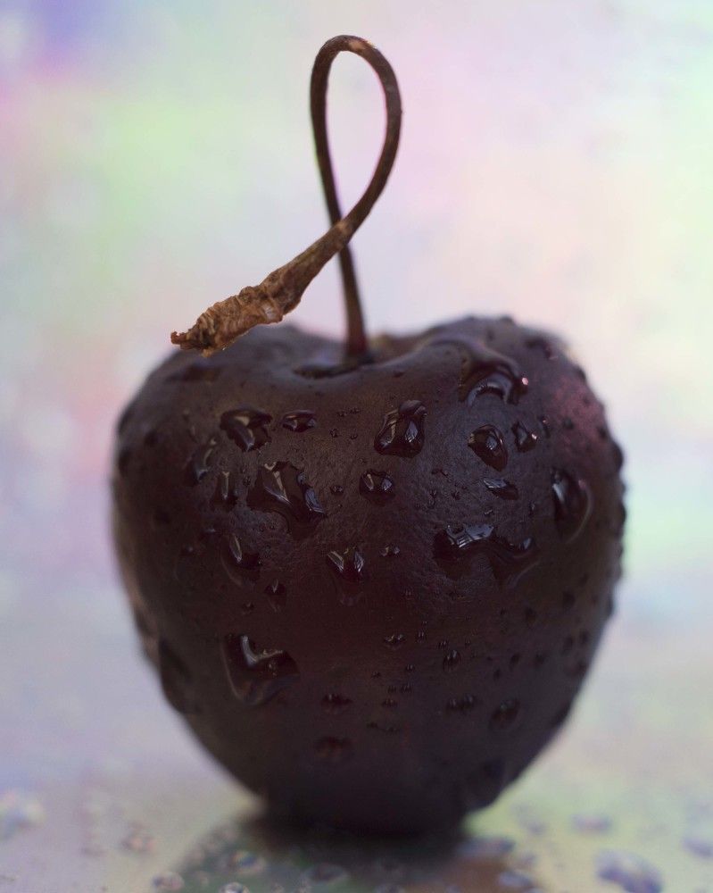 Фотография автора Анастасия Павловна