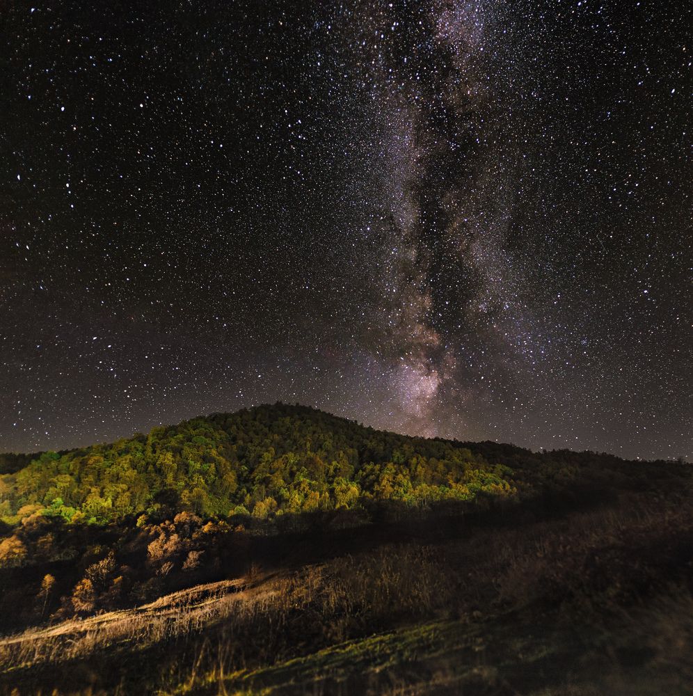 Photograph by Сергей Алимов