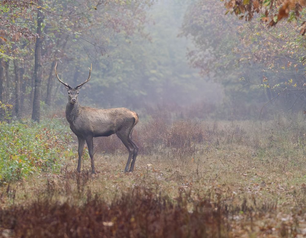 Photograph by George Alexandru Ghiuro