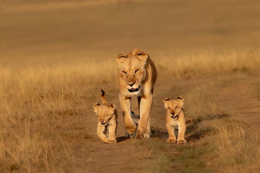 Photograph by SaiKiran Bhagavatula