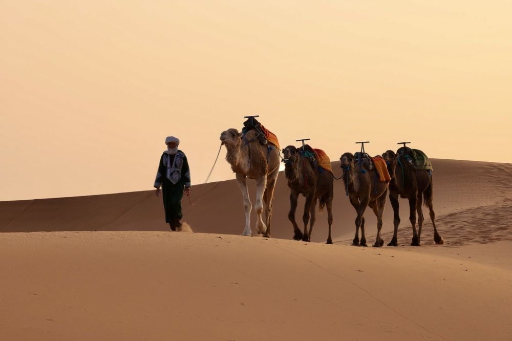 Photograph by Ольга Одаренко